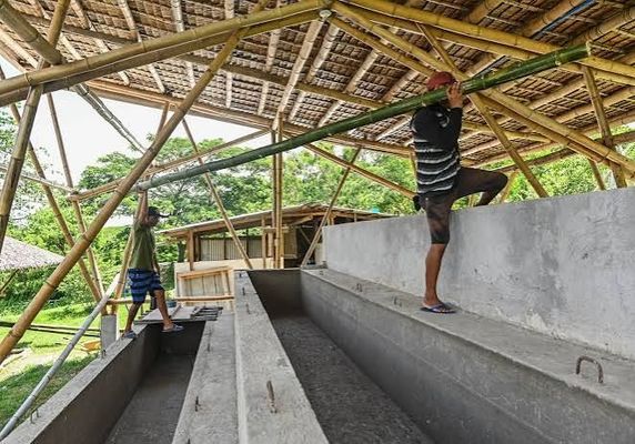 Load-Bearing Performance of Locally Sourced Bamboo in Low-Cost Housing
